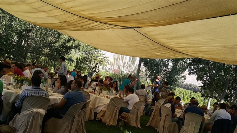 Wine Tasting at Domaine Wardy 